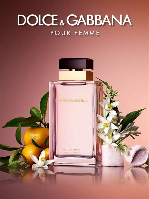 dolce gabbana perfume mujer|dolce and gabbana perfume original.